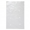 BAG LDPE PUNCHED CELERY 22X8 550 X 200 MM