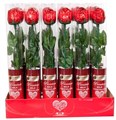 LOLLILAND FUN MAKERS ROSE CYLINDER 18GM