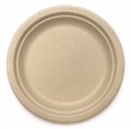 PLATE ENVIRO ROUND 10 260MM