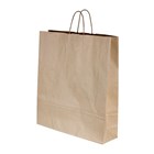 CARRY BAG