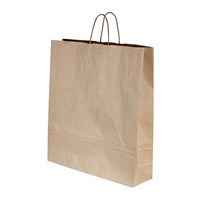 CARRY BAG