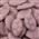 LOLLILAND PURPLE GRAPE CLOUDS   1KG